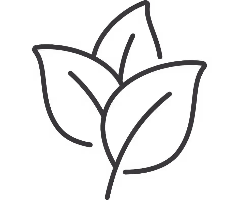 Spring icon
