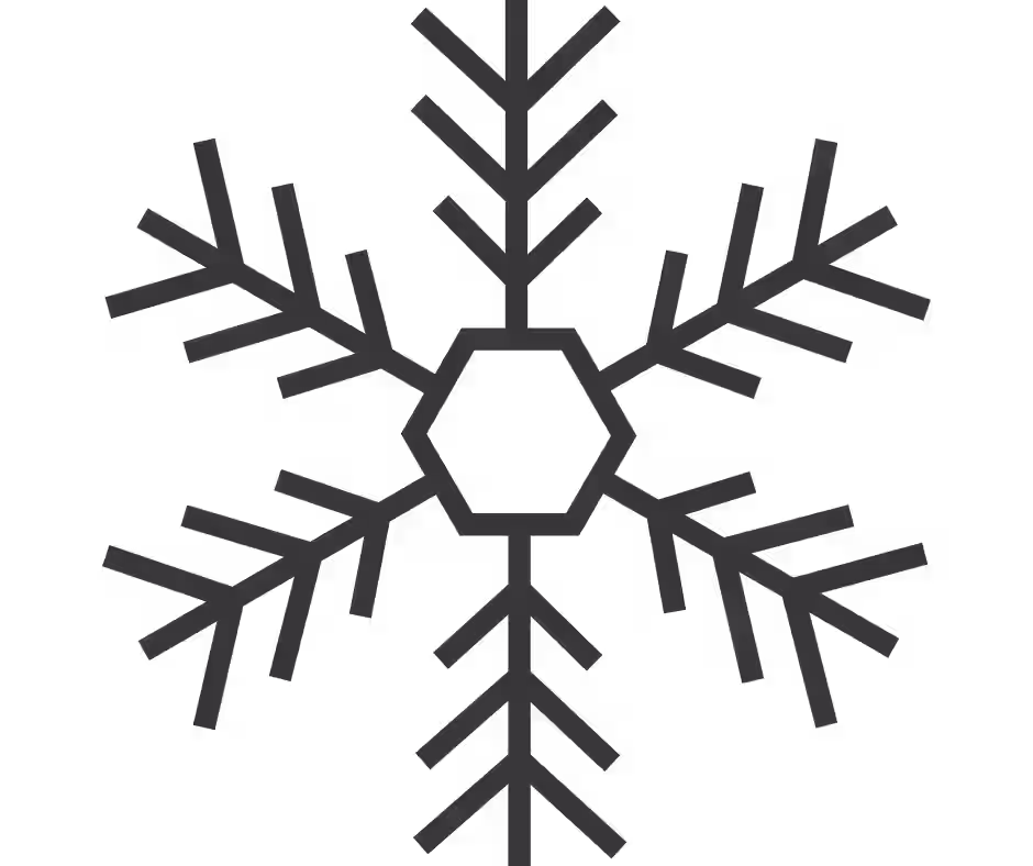 Winter icon